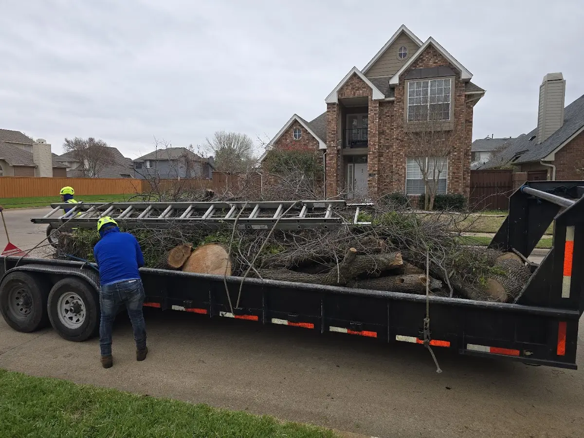 Expert Tree Fertilization with proper safety equipment in East Schodack